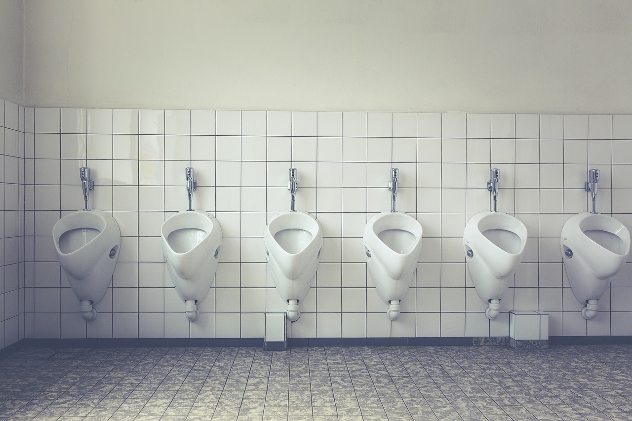 toilet, loo, wc