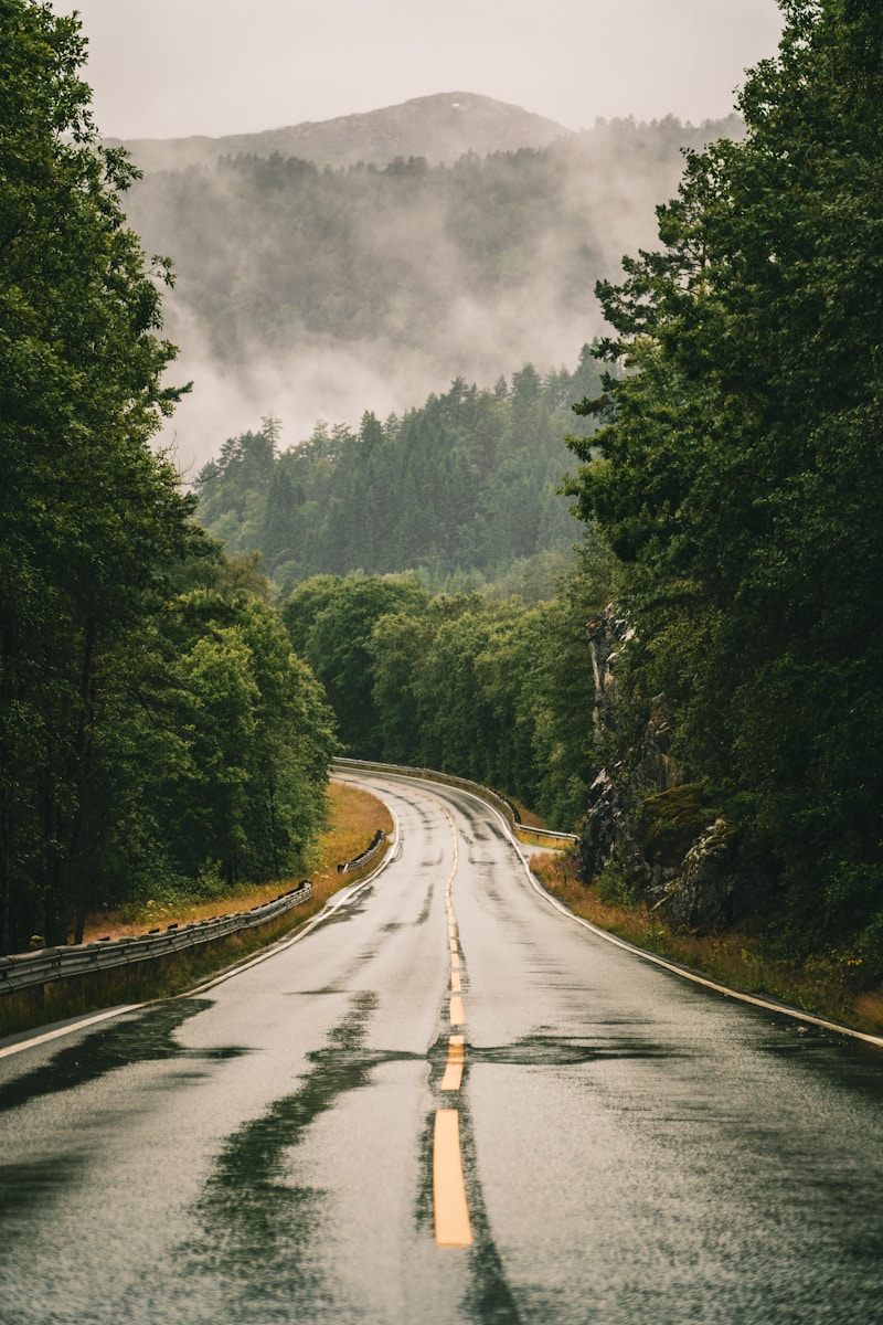 gray concrete road between green trees under gray sky