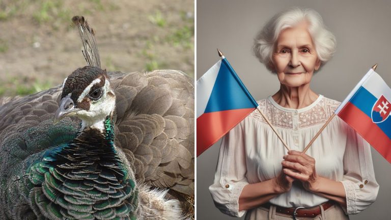 Výzva pre seniorov: Otestujte si svoje znalosti v tomto vedomostnom kvíze!