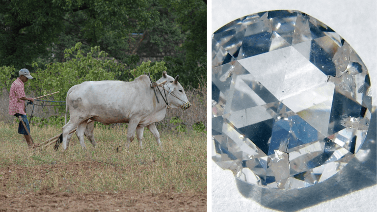 Indický farmár našiel 16,10 karátový diamant. Peniaze použije na podporu svojej rodiny