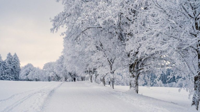 Zima prichádza už tento víkend: Na Slovensku začne snežiť!
