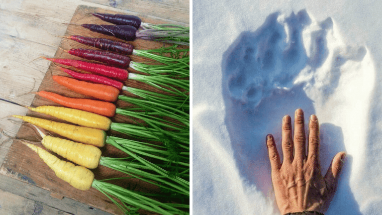 10 porovnávajúcich fotografií, ktoré vám vyrazia dych