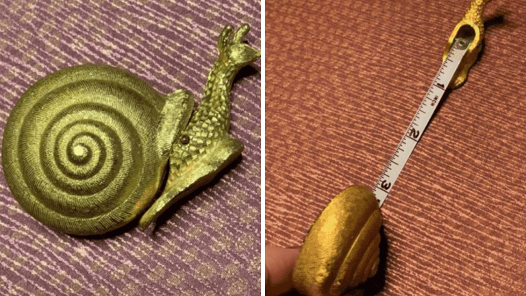 10 pokladov, ktoré ľudia našli v obchodoch z druhej ruky