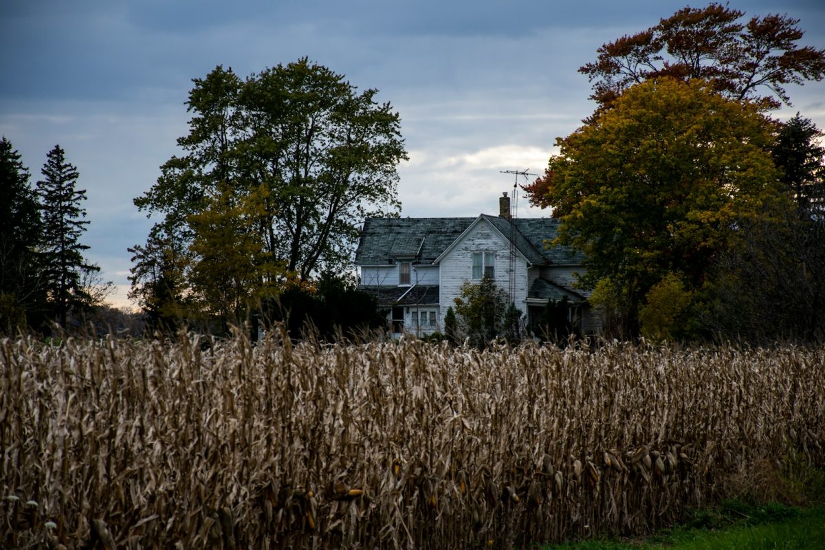 a house in the middle of a corn field