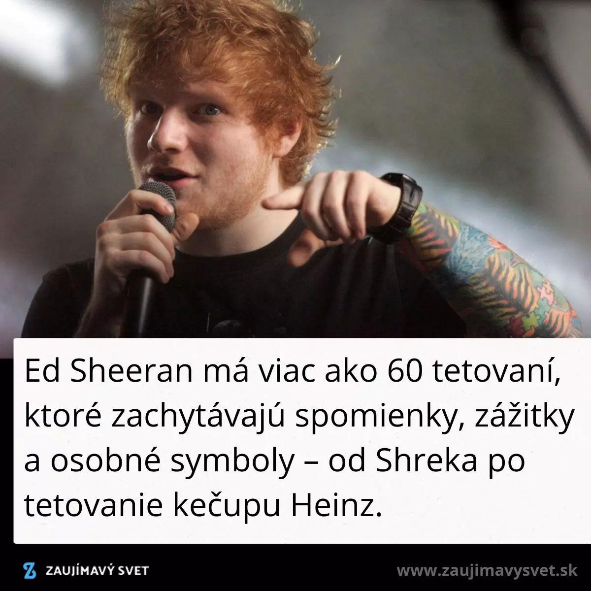 Osoba so zrzavými vlasmi a tetovaniami na ruke drží mikrofón a gestikuluje počas vystúpenia.