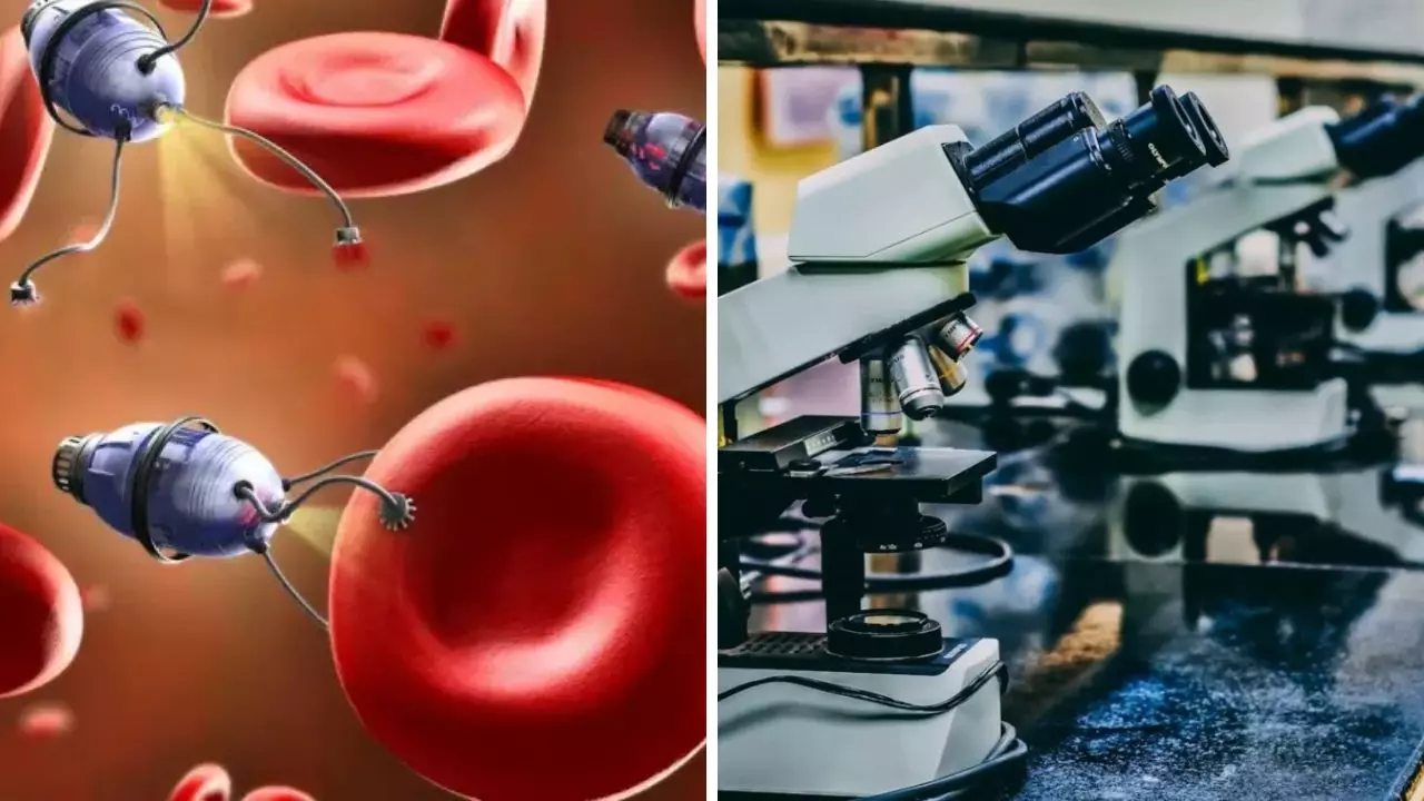 Nanotechnológia a mikroskopy: zobrazenie nanobotov medzi krvinkami a laboratórnych mikroskopov.