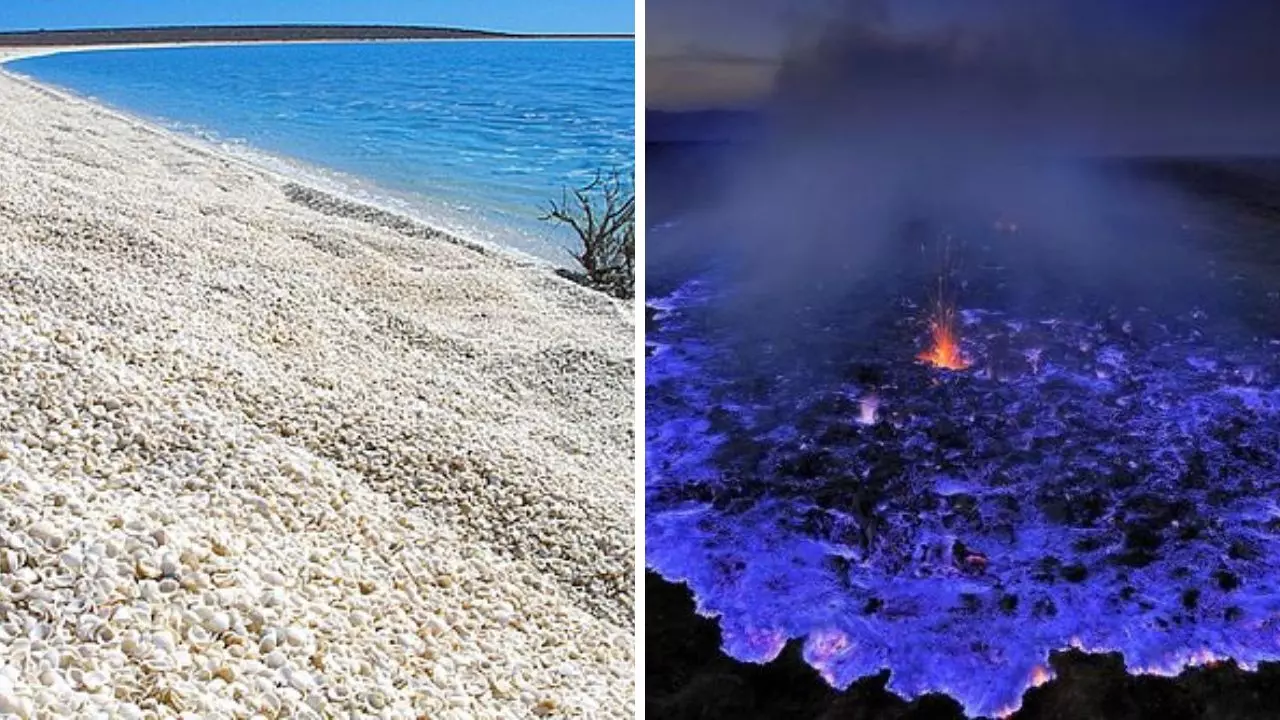 Pláž pokrytá mušľami pri modrej vode a nočné modré svetlo sopečnej erupcie pod oblohou.