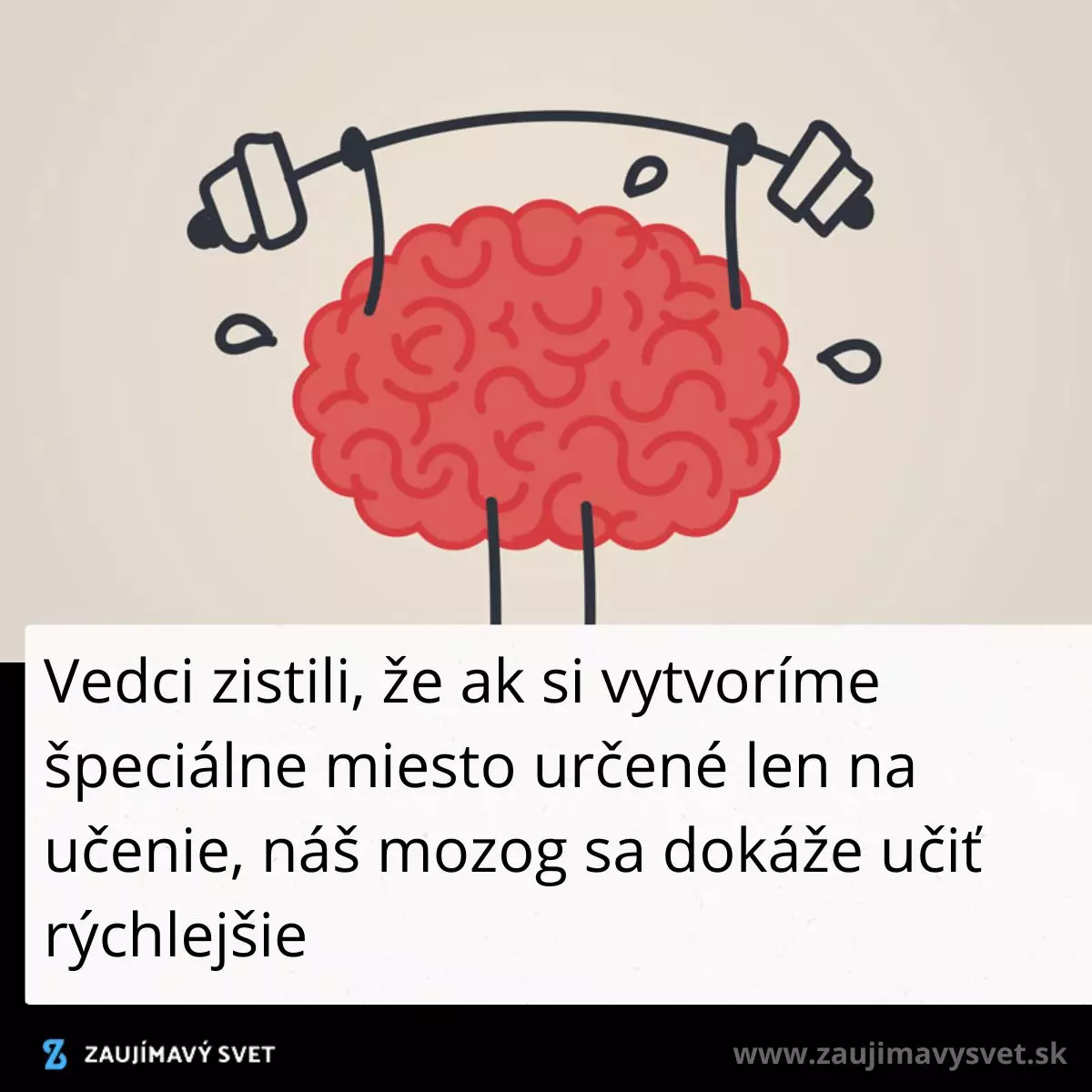 Mozog zdvíha činky, znázorňuje zlepšenie učenia v špeciálnom prostredí.