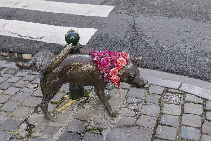 Socha psa na ulici s kvetinovým vencom na krku, opierajúca sa o stĺpik.