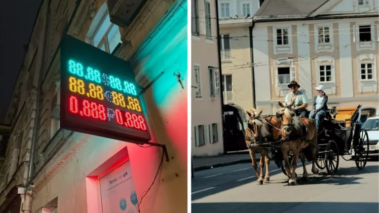 Ryba s parazitom v ústach a hmyz pokrytý hubami na čiernom pozadí.