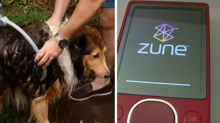 Muž umývajúci psa vonku vedľa červeného digitálneho prehrávača Zune so zobrazeným logom na displeji.