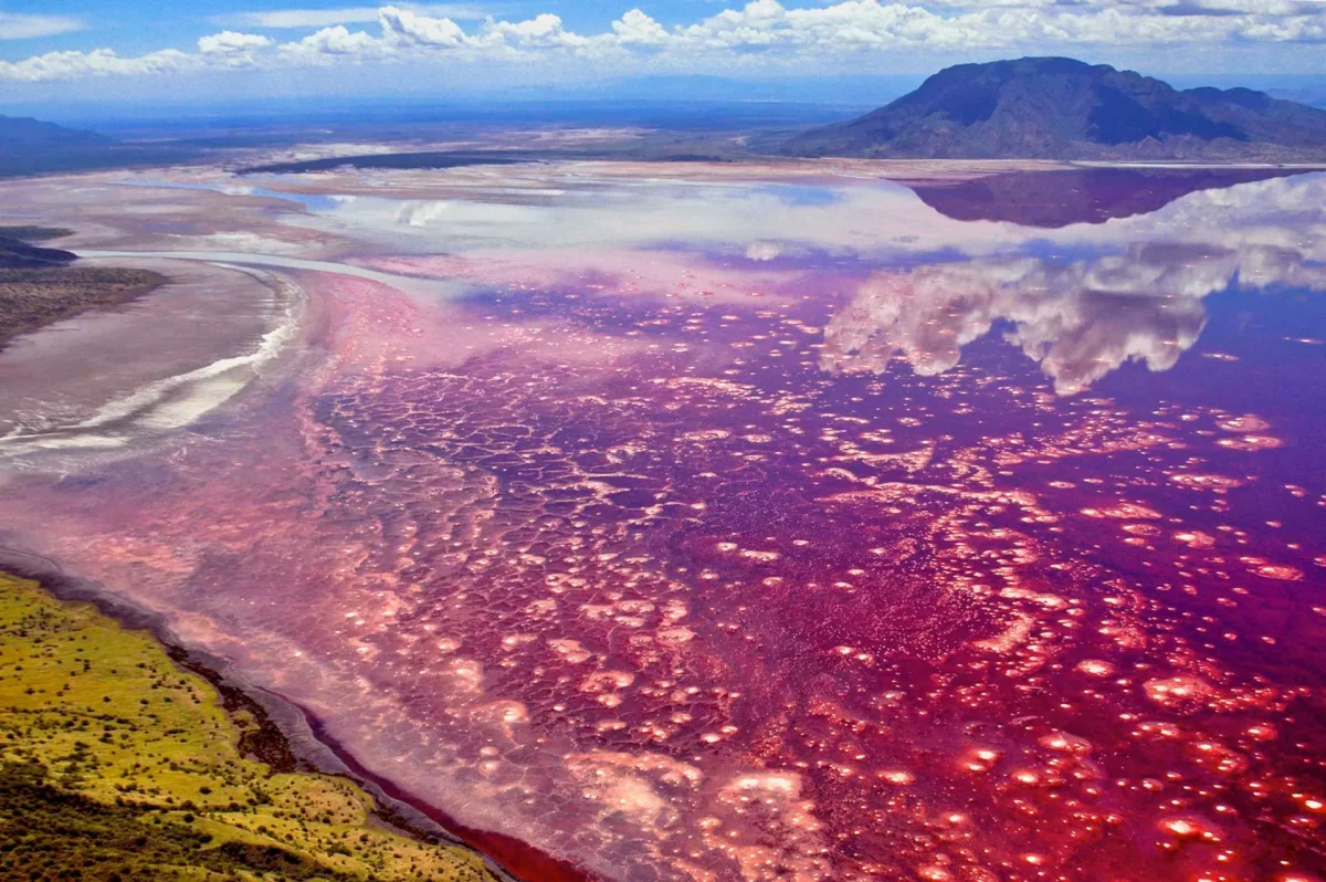 Letecký pohľad na fascinujúce ružové jazero s horou na horizonte a jasnou modrou oblohou.