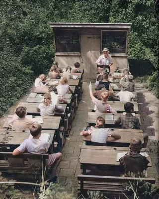 Vonkajšia trieda plná detí v lese, učiteľ vedie výučbu pod holým nebom.