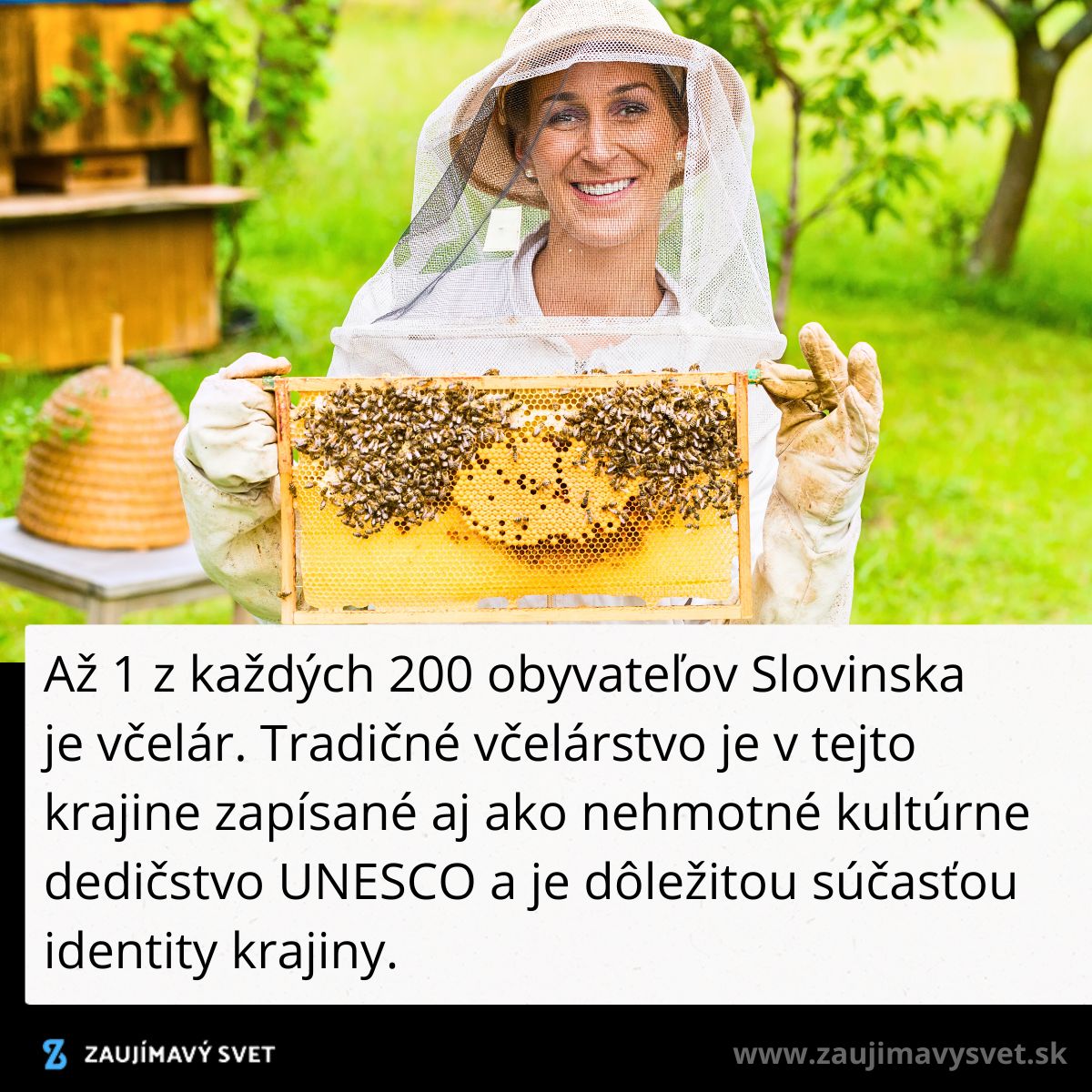 Včelárka so sieťkou na klobúku drží včelí plást v krásnom slovinskom prostredí.