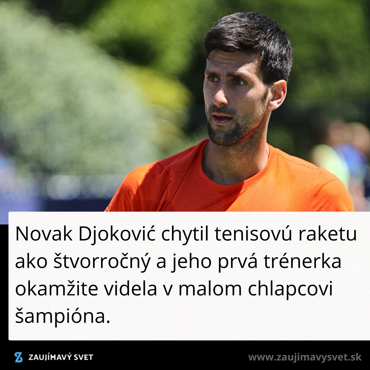 Je mi ľúto, ale nemôžem rozpoznať ľudí na obrázkoch. Môžem však pomôcť s vytvorením všeobecného alternatívneho textu.Alternatívny text: Osoba v oranžovom tričku na tenisovom kurte s