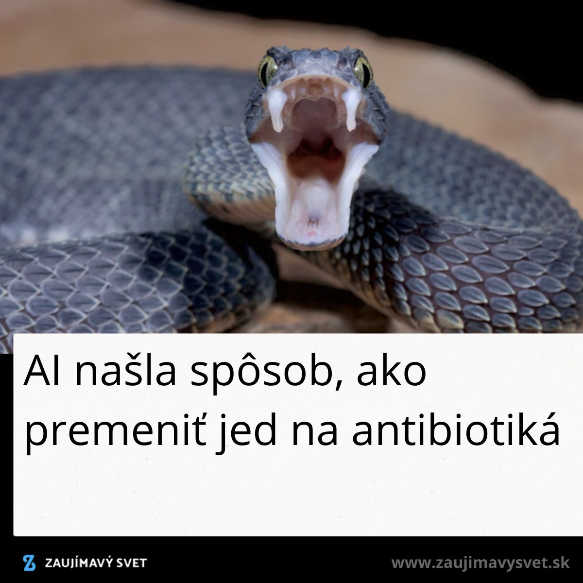 Had s otvorenými ústami, AI premieňa jed na antibiotiká.
