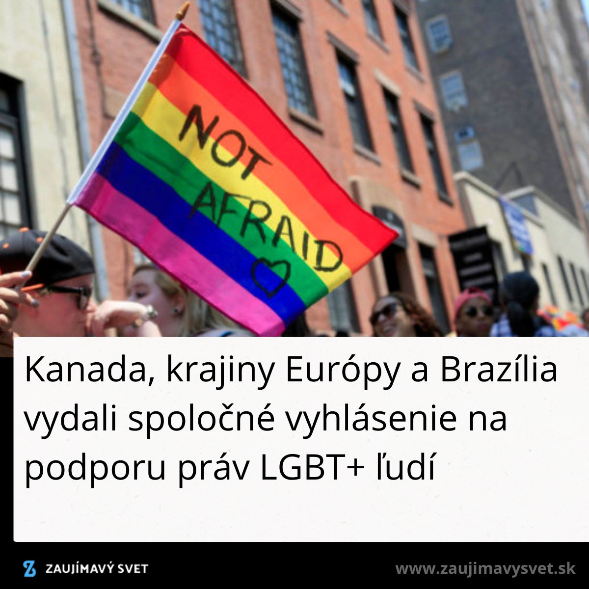 Dúhová vlajka s nápisom Not Afraid na proteste za práva LGBT+ v mestskom prostredí.