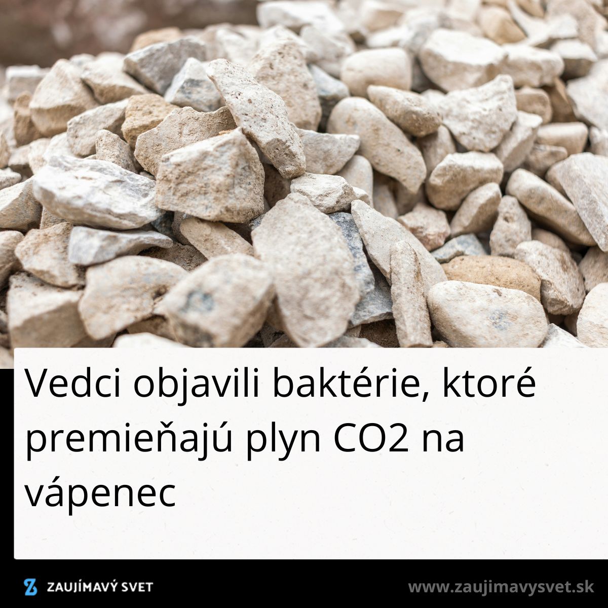 Baktérie premieňajúce CO2 na vápenec, vedecký objav mení pohľad na využitie emisií.