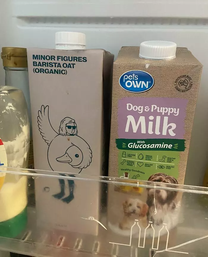 Ovsené mlieko a mlieko pre psy v chladničke, zamerané na rôzne potreby stravy a zdravia.