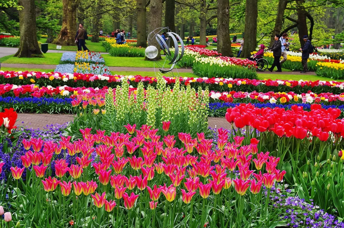 Farebná záhrada plná tulipánov a kvetov, cestičky medzi stromami a návštevníci, ktorí obdivujú krásu prírody.