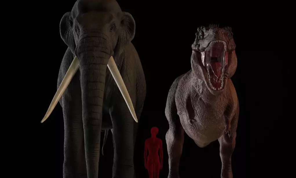 Slon a tyranosaurus rex vedľa siluety človeka ilustrujú rozdiely vo veľkostiach na tmavom pozadí.