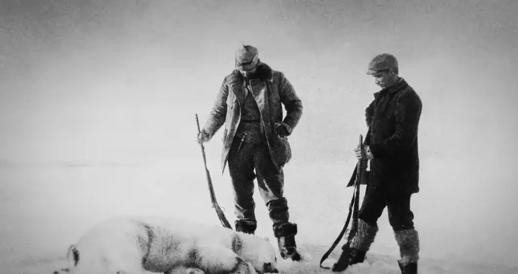 Lovci pózujúci s uloveným ľadovým medveďom na zasneženej planine, historická fotografia.