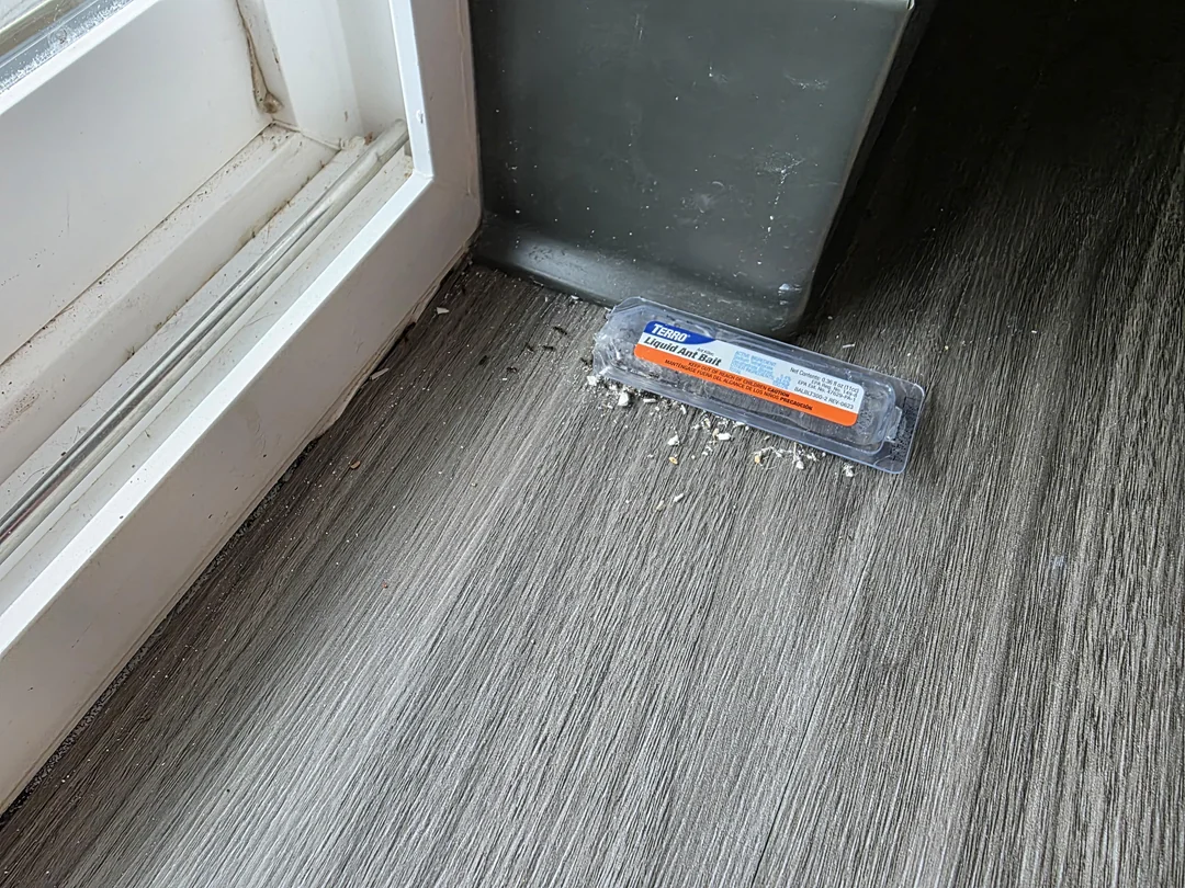 Návnada na mravce umiestnená pri podlahe v rohu miestnosti.