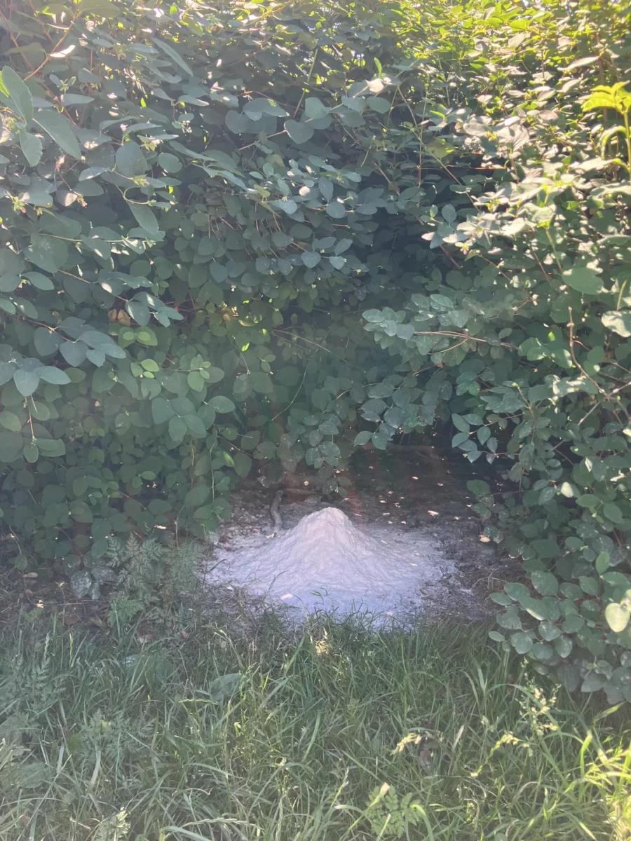 Kopec bieleho prášku medzi zelenými kríkmi a trávou na slnečnom mieste.