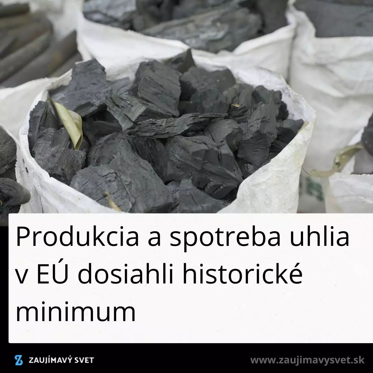 Vrecia s uhlím ilustrujú pokles produkcie a spotreby v EÚ na historické minimum.