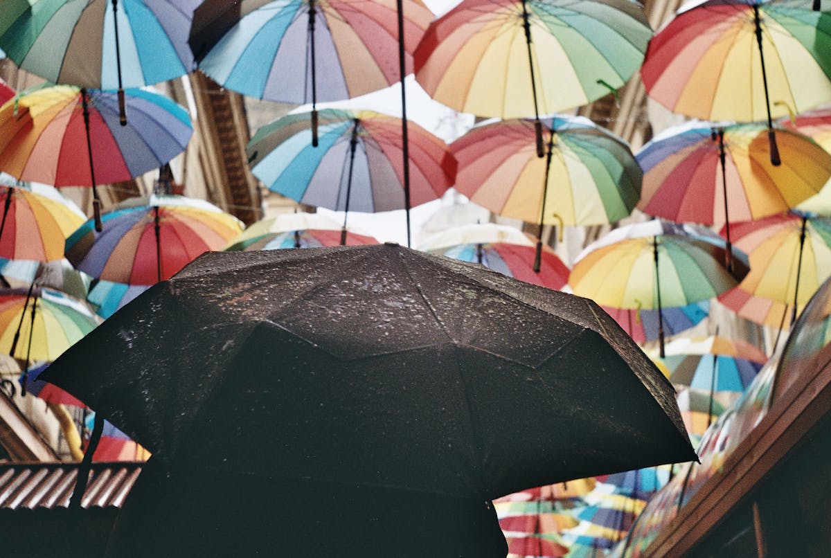 A black umbrella against a backdrop of colorful umbrellas strung above a city street.