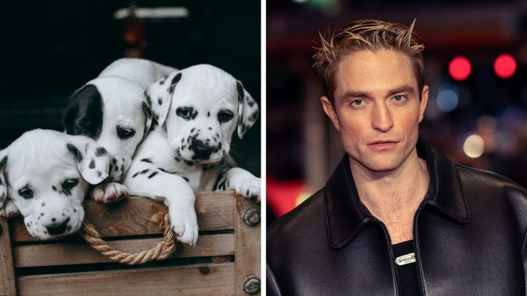 Zaujímavosti ku káve, ktoré ti rozšíria obzory #2364 – 101 dalmatíncov odštartovalo problematický trend a Robert Pattinson zistil až v kine, že ho z filmu vystrihli