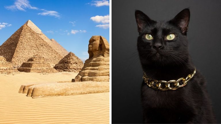Zaujímavosti ku káve, ktoré ti rozšíria obzory #2366 – pyramída, ktorá ukrýva neprístupné priestory a čierne mačky boli v Egypte symbolom šťastia