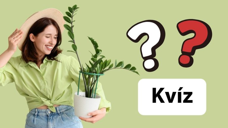 Myslíte si, že poznáte rastliny? Tento botanický kvíz vás môže poriadne prekvapiť!