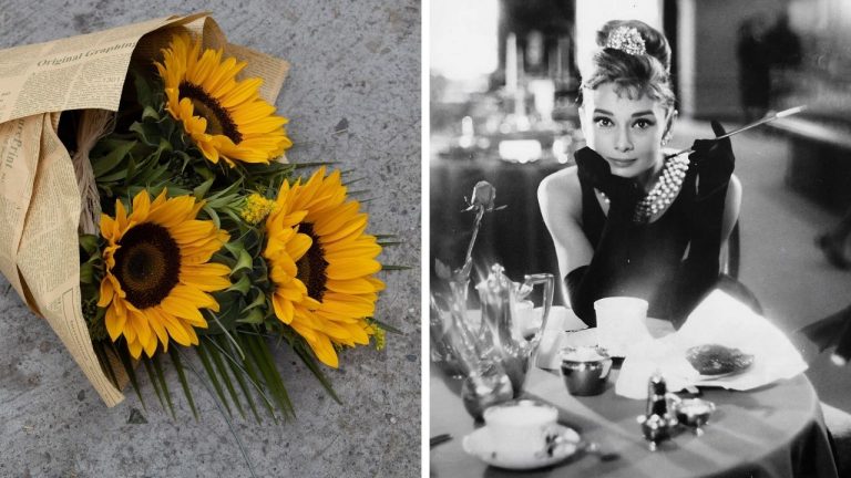 Zaujímavosti ku káve, ktoré ti rozšíria obzory #2379 – slnečnice sa dostali až do vesmíru a Audrey Hepburn spievala Kennedymu rok po Marilyn Monroe